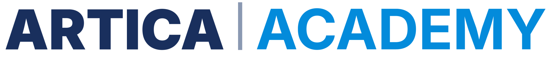 Artica Academy